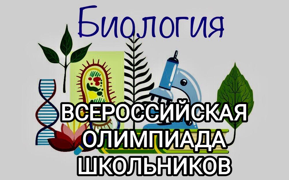 Итоги муниципального этапа Всероссийской олимпиады по биологии.