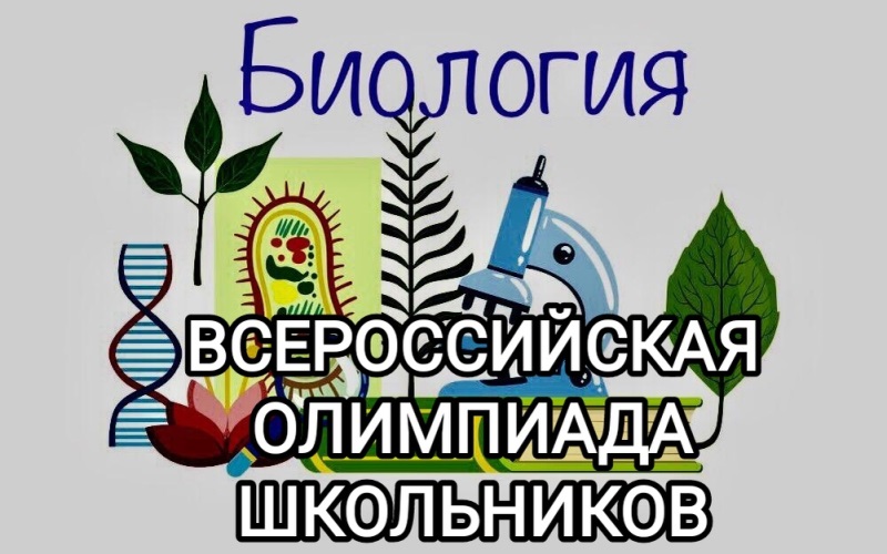 ИТОГИ МУНИЦИПАЛЬНОГО ЭТАПА ВсОШ ПО БИОЛОГИИ.